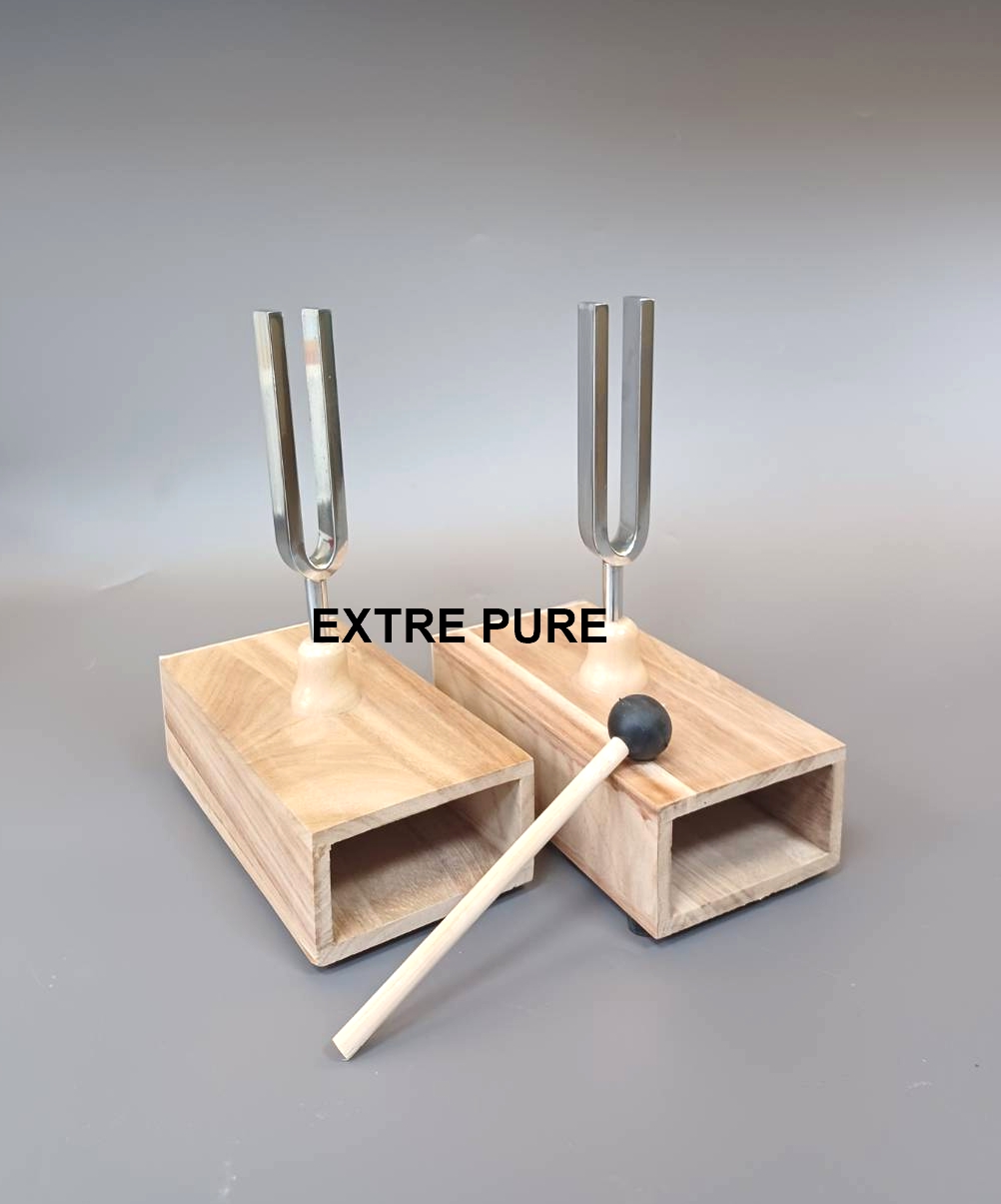 雙音叉實驗器(共鳴音叉)