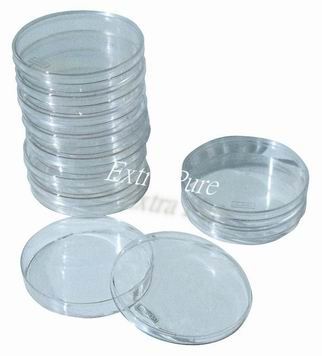 塑膠培養皿(150mm)