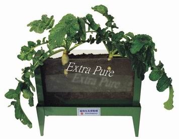 植物生長實驗槽